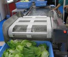 茼蒿商機(jī)