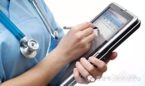 虛火過(guò)重的o2o,為你指明12個(gè)o2o方向